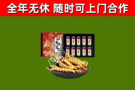 渝北区烟酒回收冬虫夏草礼盒.jpg