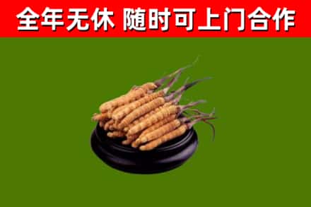 渝北区烟酒回收冬虫夏草.jpg