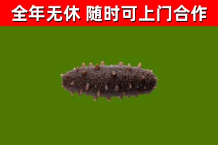 渝北区烟酒回收干海参.jpg